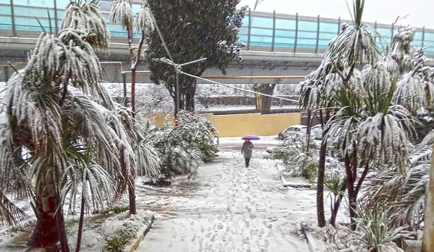 Туристы делятся впечатлениями о последствиях снегопада в Сочи