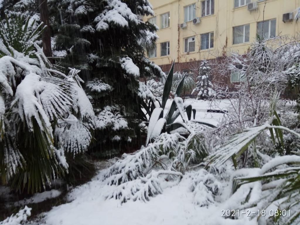 Туристы делятся впечатлениями о последствиях снегопада в Сочи