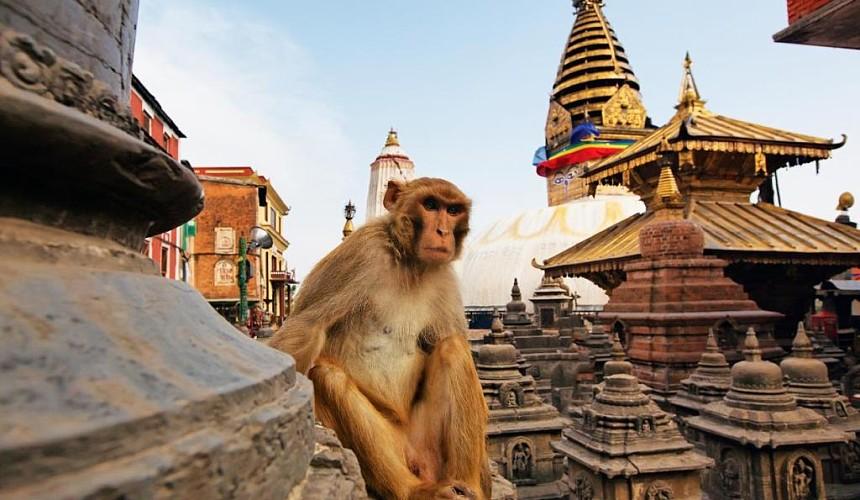 В Непале находится порядка 500 российских туристов