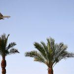 Что нужно знать о возобновлении рейсов на курорты Египта и в другие страны
