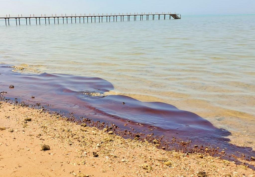 Загрязнение пляжей Хургады нефтью может стать постоянным