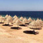В Египте закрыли общественные пляжи и проводят дезинфекцию