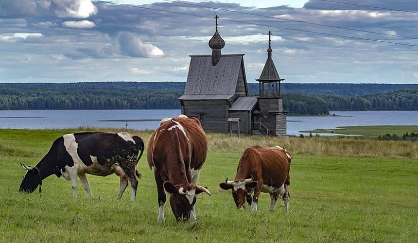 Совет Федерации одобрил законопроект о сельском туризме