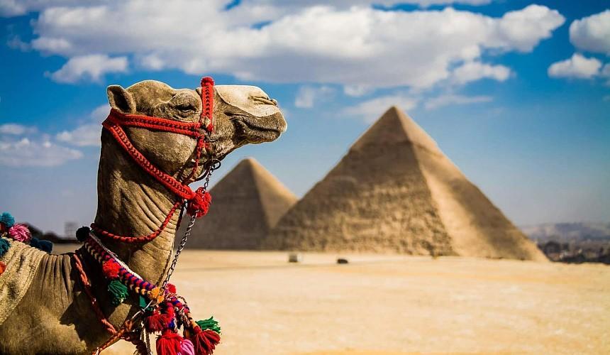 Египет готов принимать более 300 тысяч российских туристов ежемесячно