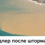Вода у побережья Краснодарского края очистится в ближайшее время